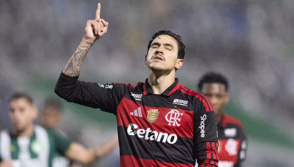‘Trazer o hexa’; Pedro mira volta à Seleção após assumir artilharia do Brasileirão com dois gols pelo Flamengo