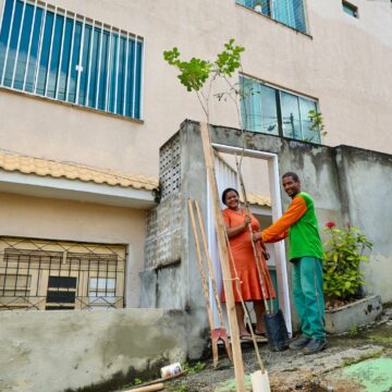 Prefeitura inicia programa que permite a moradores solicitar plantio de árvores em calçadas de Salvador