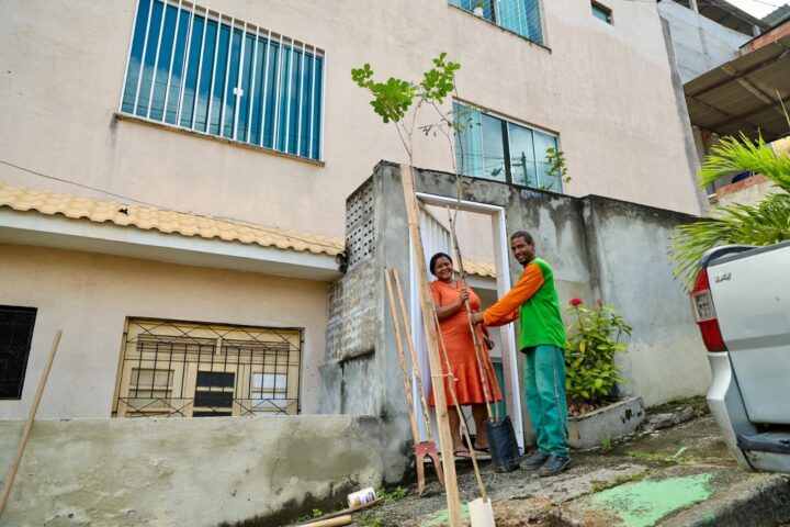Prefeitura inicia programa que permite a moradores solicitar plantio de árvores em calçadas de Salvador
