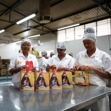 Obras Sociais Irmã Dulce abrem 29 vagas de emprego; veja como se candidatar