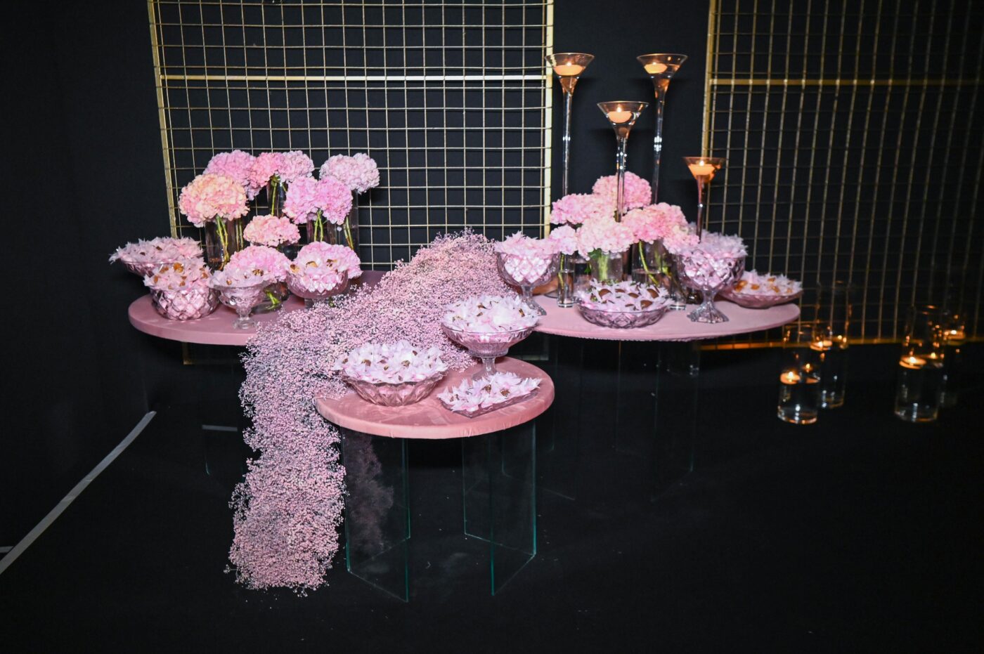 15 anos de Ana Beatriz Navarro