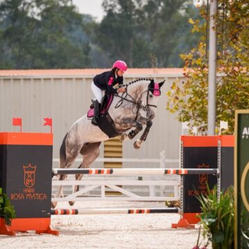 Baiana de 12 anos é convocada para representar o Brasil no Sul-Americano de Hipismo