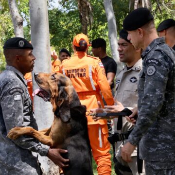 PMs da Bahia são capacitados para conduzir cães em buscas por pessoas desaparecidas