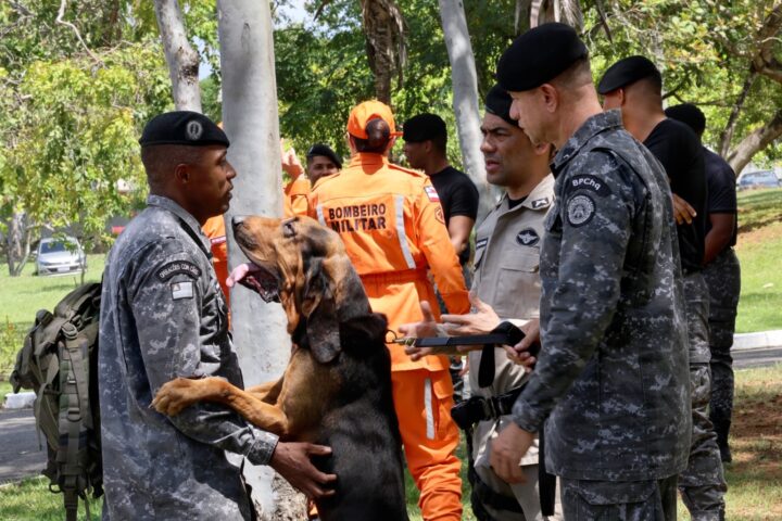 PMs da Bahia são capacitados para conduzir cães em buscas por pessoas desaparecidas
