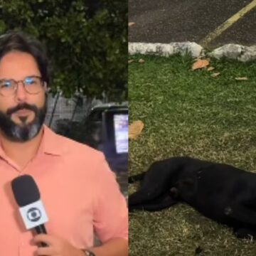 Repórter da TV Bahia viraliza após ser ‘abraçado’ por cachorro durante gravação