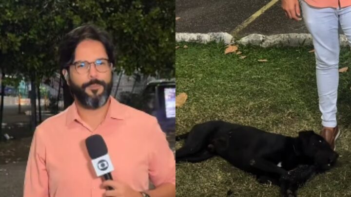 Repórter da TV Bahia viraliza após ser ‘abraçado’ por cachorro durante gravação