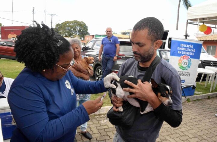 Salvador entra na reta final da vacinação antirrábica para cães e gatos