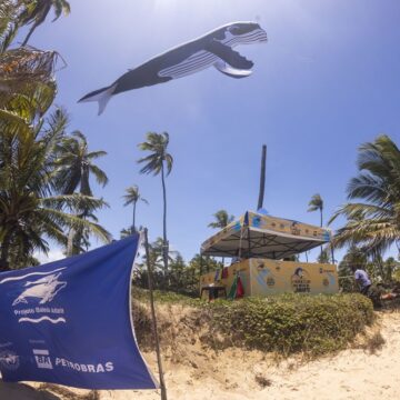 Praia do Forte celebra temporada das baleias jubarte com três dias de festa, surf e música gratuita