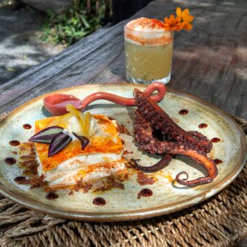 Festival Tempero Bahia 2026 celebra sabores da Mata Atlântica com pratos inéditos