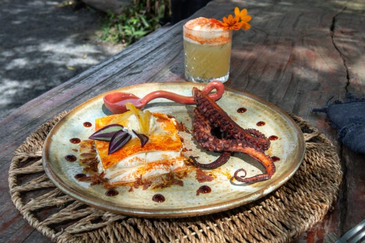 Festival Tempero Bahia 2026 celebra sabores da Mata Atlântica com pratos inéditos