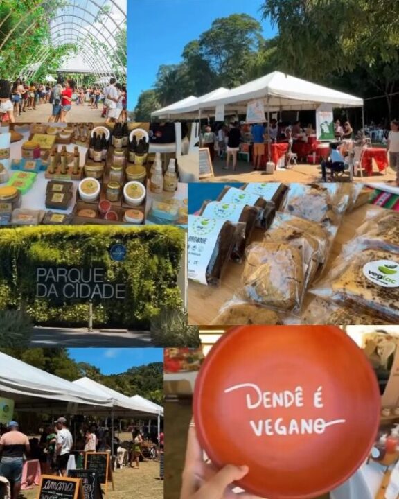Feira Vegana de Salvador completa mais de 70 edições unindo gastronomia e sustentabilidade; conheça o movimento