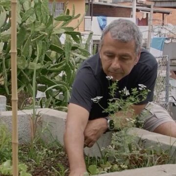 Aos 63 anos, famoso ator da Globo concilia carreira artística com a produção de alimentos orgânicos