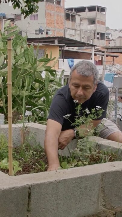 Aos 63 anos, famoso ator da Globo concilia carreira artística com a produção de alimentos orgânicos