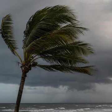 Inmet emite alerta de vendaval para nove cidades da Bahia; ventos podem chegar a 60 km/h