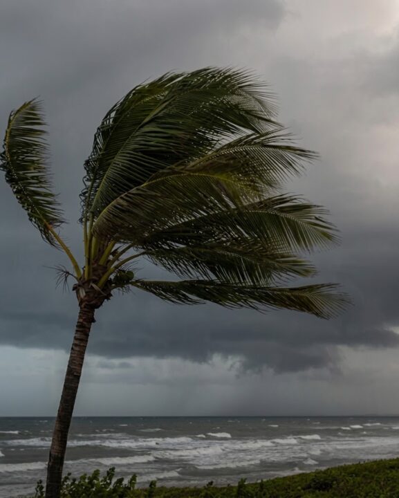 Inmet emite alerta de vendaval para nove cidades da Bahia; ventos podem chegar a 60 km/h