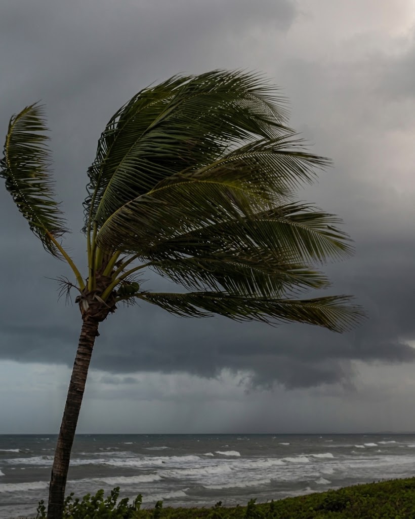 Inmet emite alerta de vendaval para nove cidades da Bahia; ventos podem chegar a 60 km/h
