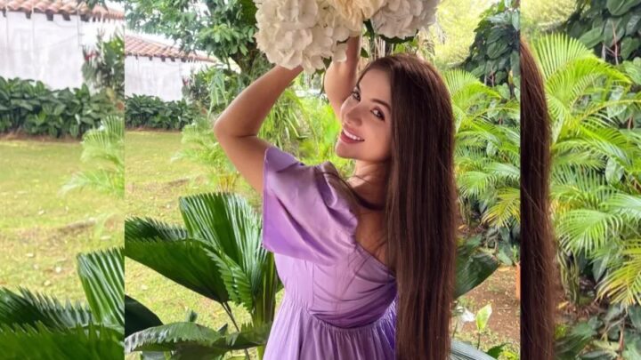 Advogada morre enquanto protegia cachorro durante terremoto na Colômbia