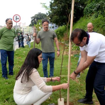 Salvador amplia arborização com plantio de 30 novas árvores na Rótula do Abacaxi