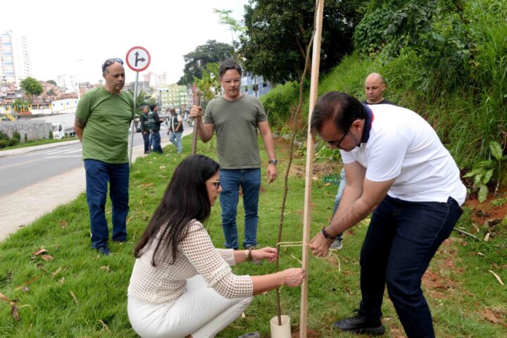 Salvador amplia arborização com plantio de 30 novas árvores na Rótula do Abacaxi