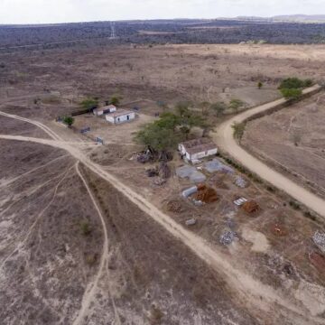 Desertificação no Brasil ameaça segurança hídrica e alimentar