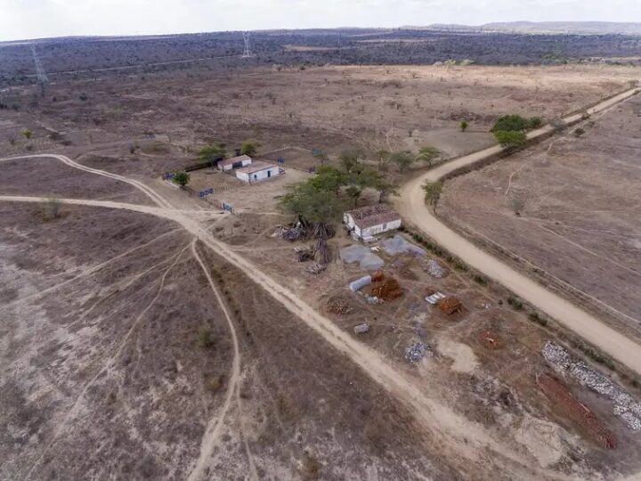 Desertificação no Brasil ameaça segurança hídrica e alimentar