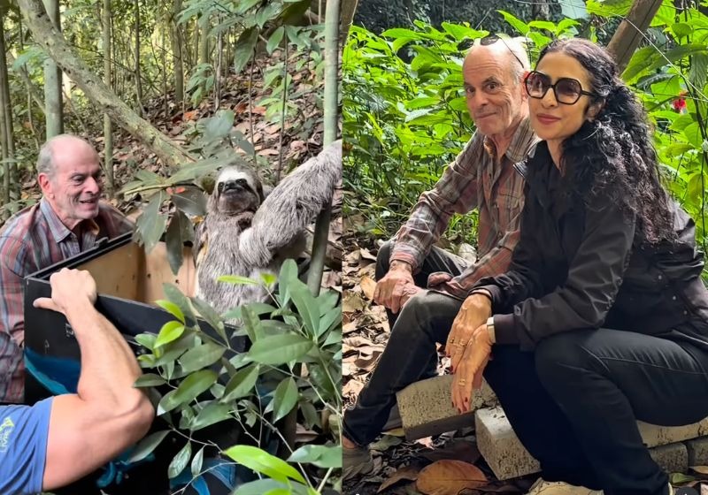 Aos 85 anos, ícone da MPB transforma sítio em refúgio com mais de 10 mil animais resgatados