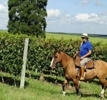 Aos 76 anos, Galvão Bueno transforma fazenda de 100 hectares em refúgio com vinhedos premiados, produção de azeite e criação de cavalos de raça