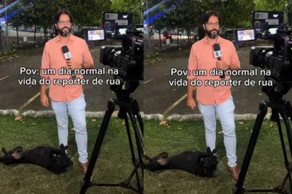 Cachorro desaparecido há um mês é encontrado após ‘invadir’ reportagem ao vivo na Bahia
