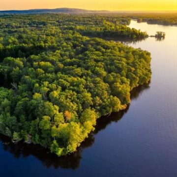 Desmatamento na Floresta Amazônica é o menor em dez anos, segundo Inpe