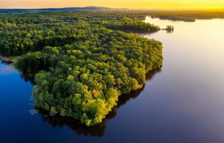 Desmatamento na Floresta Amazônica é o menor em dez anos, segundo Inpe