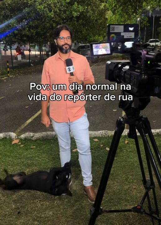 Cachorro surpreende e brinca com repórter da TV Bahia durante matéria ao vivo; veja vídeo