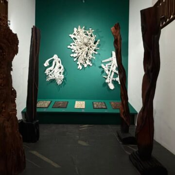 MAM-BA inaugura exposição gratuita com obras de Frans Krajcberg; veja fotos