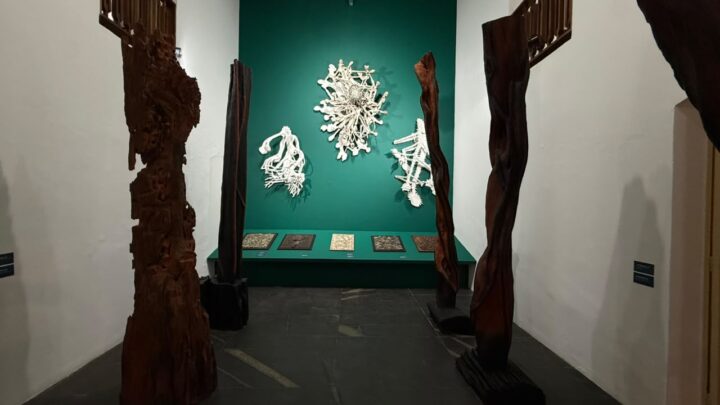 MAM-BA inaugura exposição gratuita com obras de Frans Krajcberg; veja fotos