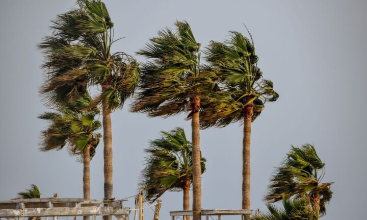 Bahia entra em alerta para vendaval com ventos de até 60 km/h; veja áreas afetadas