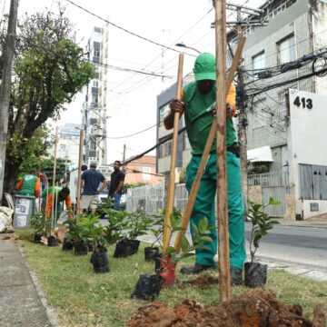 Entorno do Farol da Barra ganha novas árvores em ação de arborização de Salvador