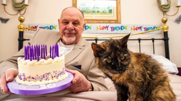 Gata com 146 anos humanos tem dieta especial e tenta entrar no Guinness Book como a mais velha do mundo