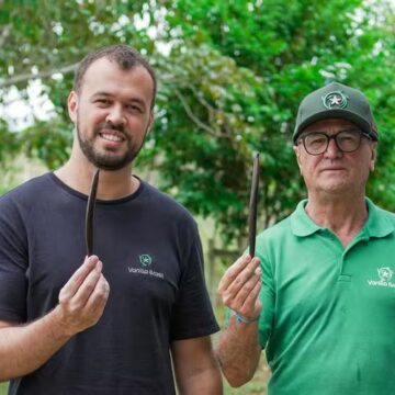 Pai e filho apostam no cultivo de baunilha na Bahia e criam negócio que faturou R$ 8,1 milhões em um ano