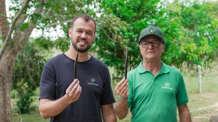 Pai e filho apostam no cultivo de baunilha na Bahia e criam negócio que faturou R$ 8,1 milhões em um ano