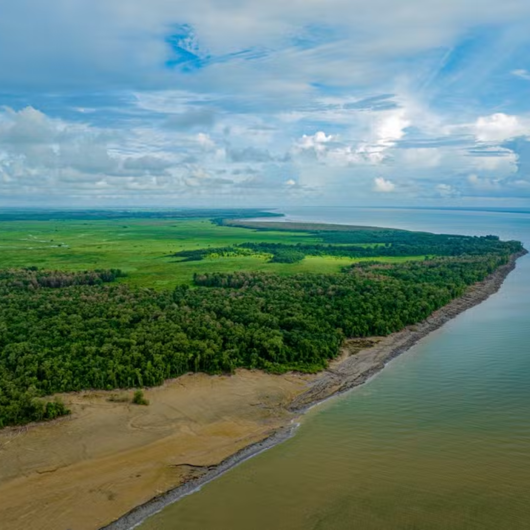 Petrobras confirma descoberta de petróleo na Foz do Amazonas, no litoral do Amapá