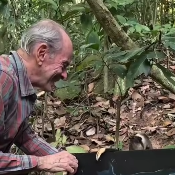 Ney Matogrosso mantém sítio de 140 hectares com área de preservação e acolhimento de animais silvestres