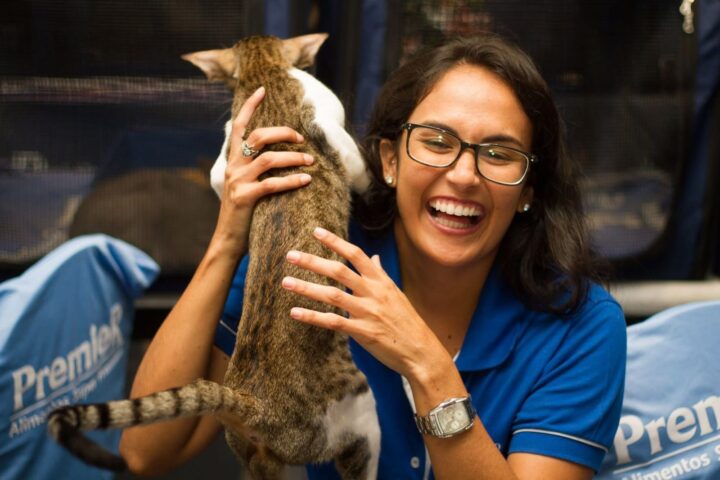 Shopping em Salvador recebe Exposição Internacional de Gatos neste fim de semana