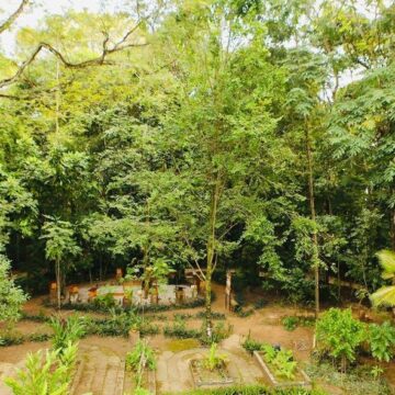 Salvador é reconhecida internacionalmente por revitalização do Jardim Botânico Municipal