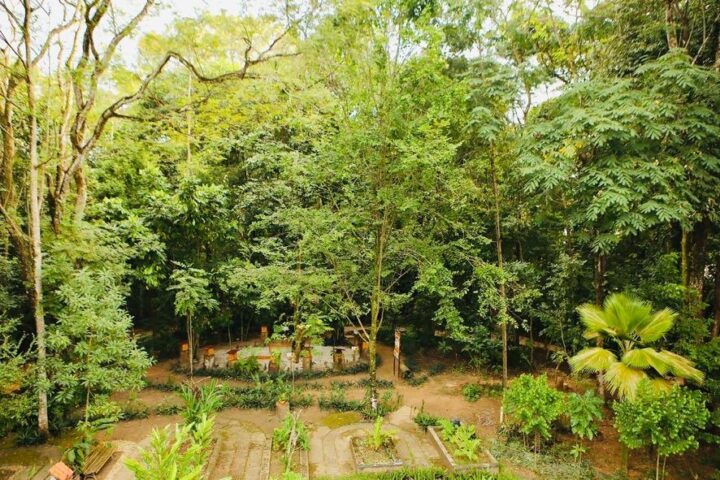 Salvador é reconhecida internacionalmente por revitalização do Jardim Botânico Municipal