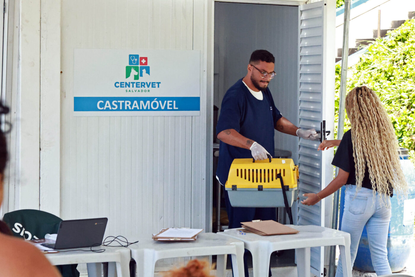 Castramóvel oferece castração gratuita de cães e gatos em Salvador