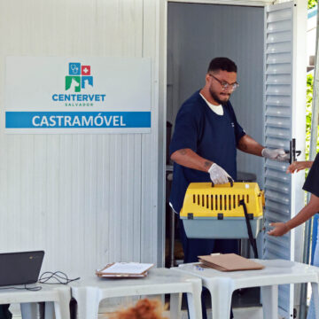 Castramóvel oferece castração gratuita de cães e gatos em Salvador