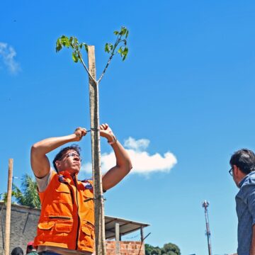 Prefeitura encerra Operação Plantio Chuva com mais de 10 mil mudas em Salvador