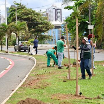 Prefeitura de Salvador planta 100 mudas na Avenida Magalhães Neto, na Pituba