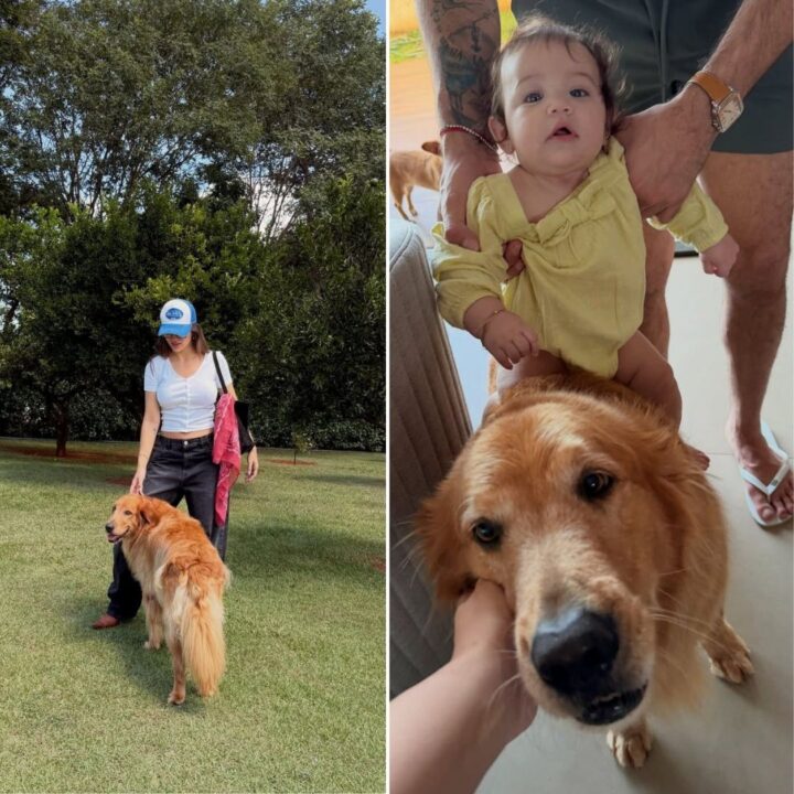 Rafa Kalimann se despede do cachorro da família: “Alfredo virou estrelinha”