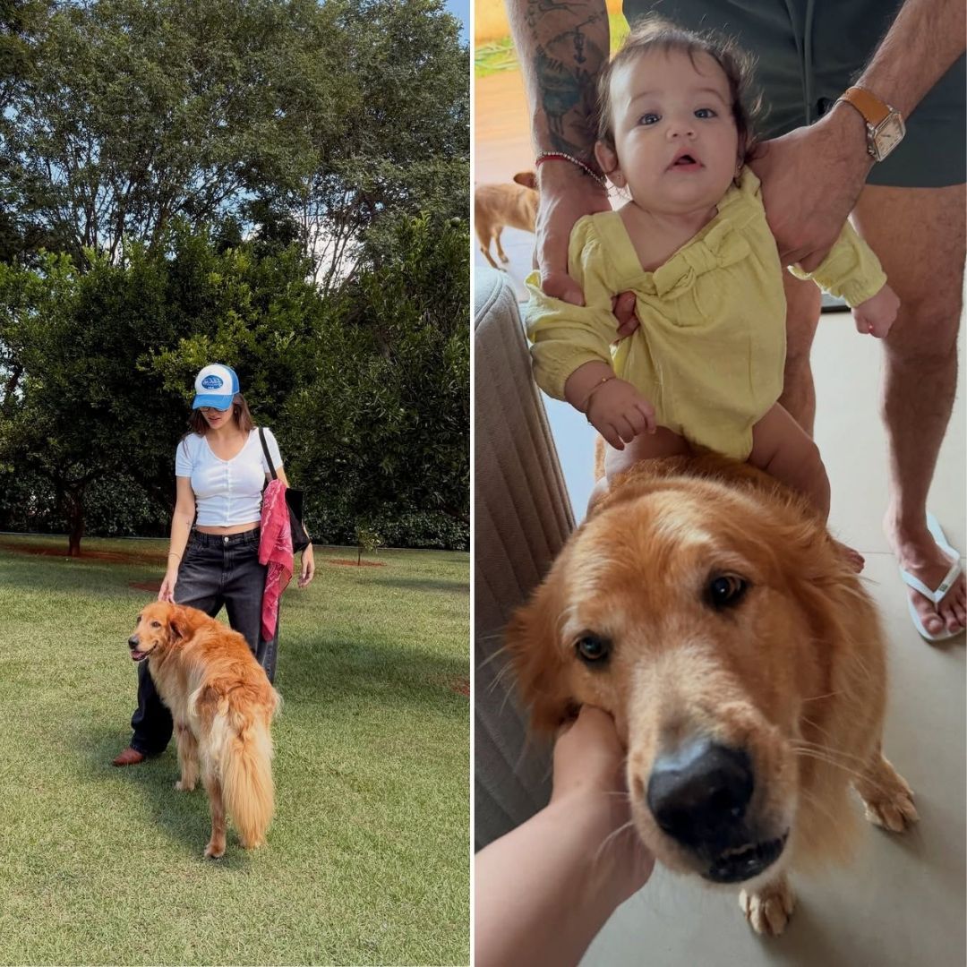 Rafa Kalimann se despede do cachorro da família: “Alfredo virou estrelinha”
