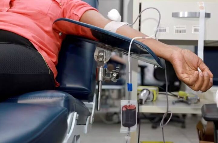 Hemoba adota novos critérios para doação de sangue; veja o que muda